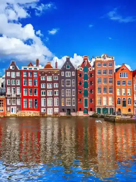 Study in the Netherlands